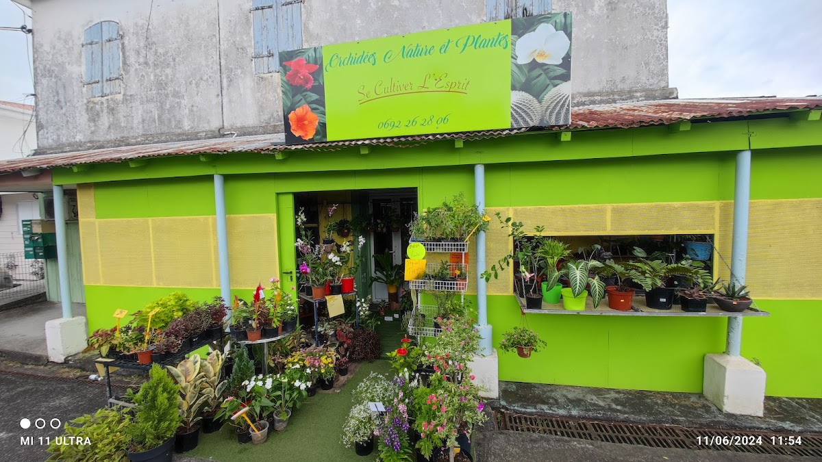 Orchidées Nature et Plantes