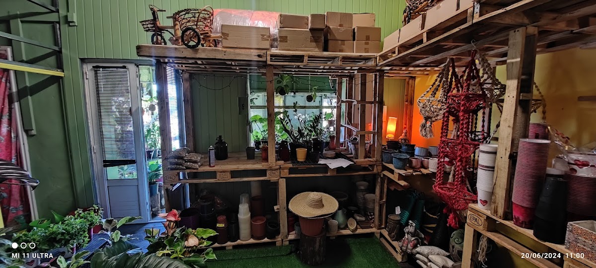 Orchidées Nature et Plantes - boutique