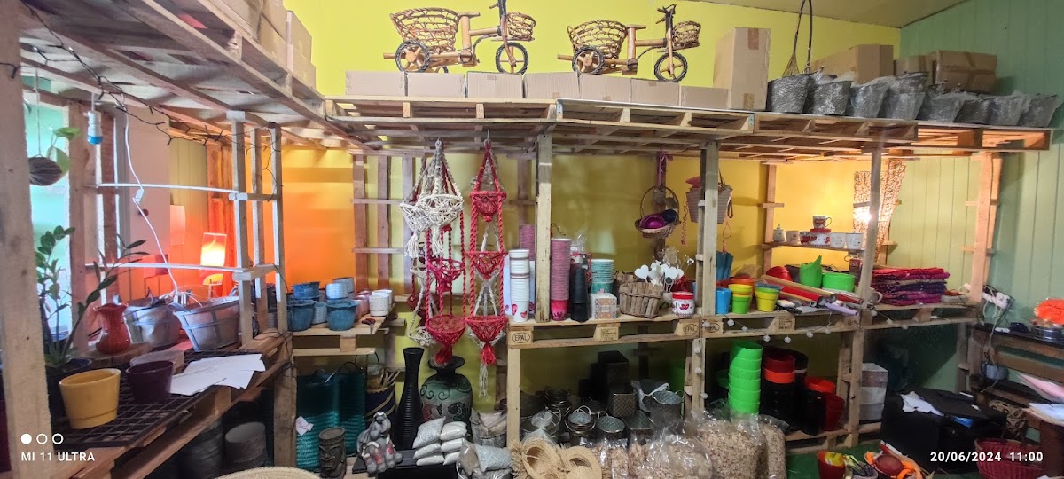 Orchidées Nature et Plantes - 2